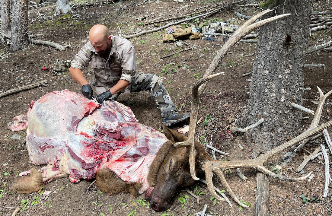 Field Dressing Game in The Backcountry